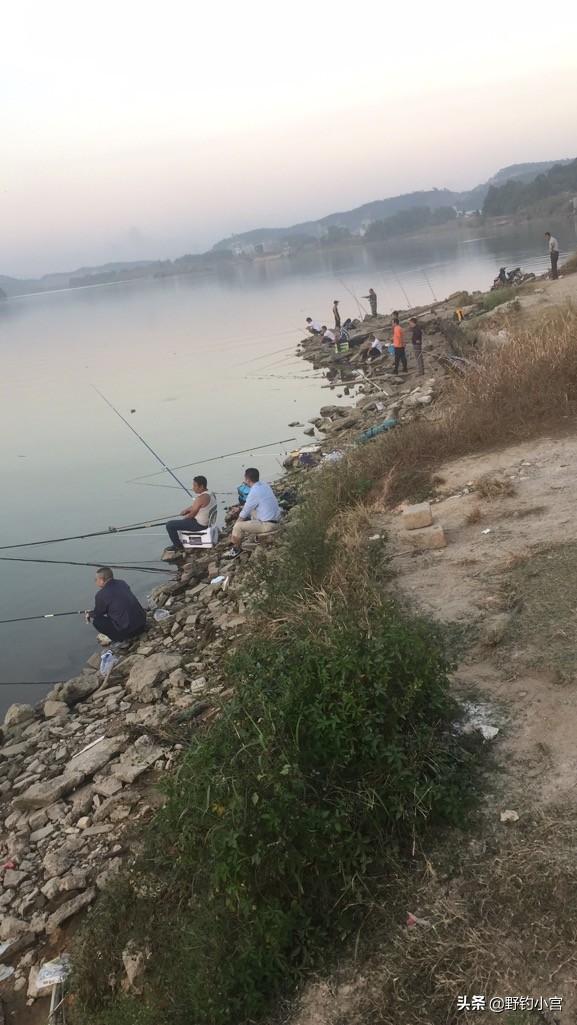 乌梢蛇图片有没有毒:黑乌梢蛇图片 蛇没有爪子，如何打洞？什么情况？