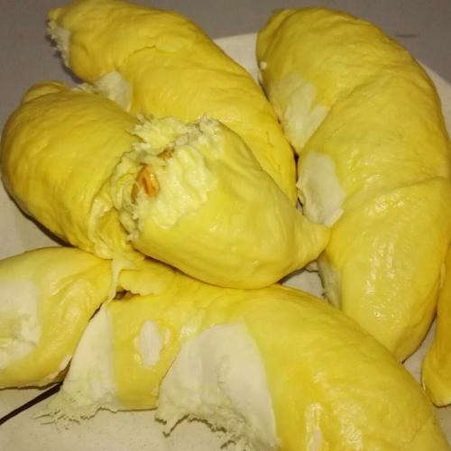 伊纳宝:为什么榴莲树的承重能力那么强？