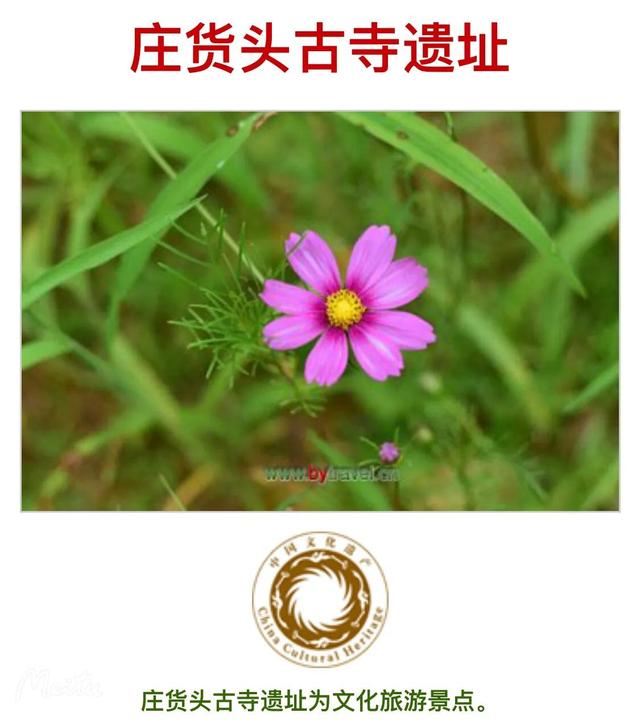 藁城区怎么读:藁这个字怎么读？啥意思？能介绍下藁城吗？