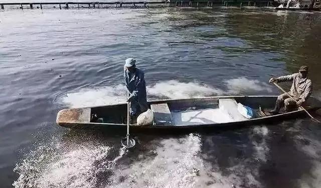 水产养殖怎么样水产养殖什么最赚钱