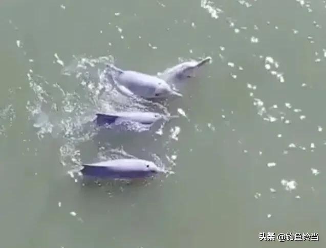 广西大桥灵异事件:南宁一小区阳台上挂奇怪布偶娃娃，上面写邻居的名字，怎么回事？