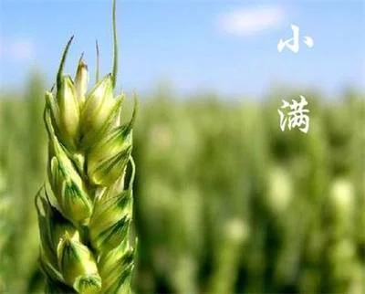 关于小满的诗句与文章与诗歌有哪些？