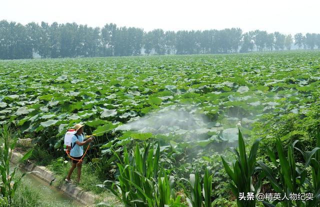 成都纳智捷,买车真的需要考虑油耗吗？