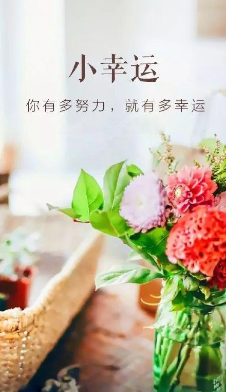 正能量早安语录180610：舒服是人生的高利贷，食物链上没有谁是容易的