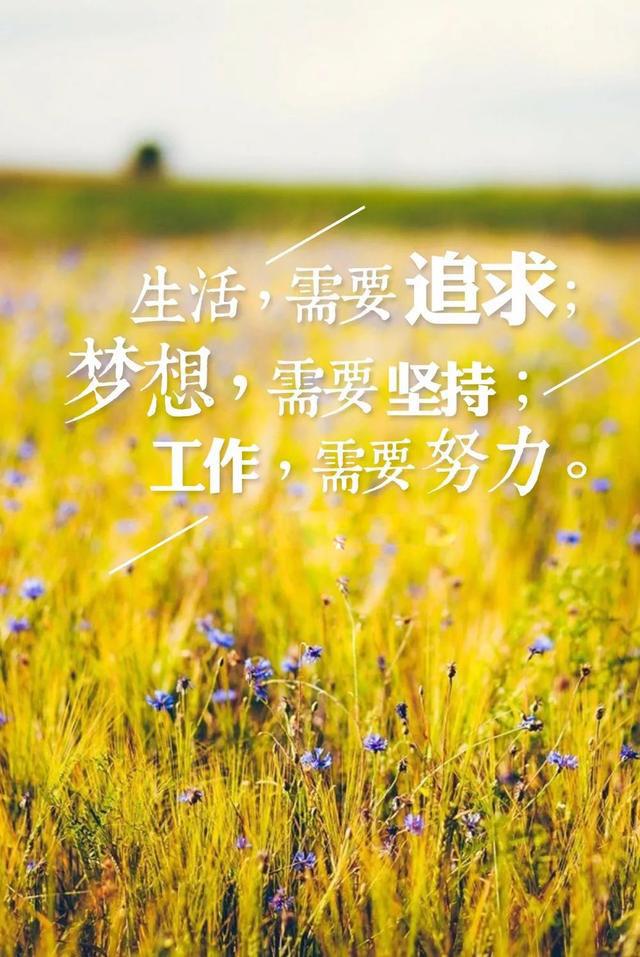 早安正能量心语180625：人生的每一个清晨，都该努力