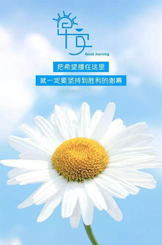 早安正能量心语图片180518：懒，是让一切梦想停留于幻想的最终元凶