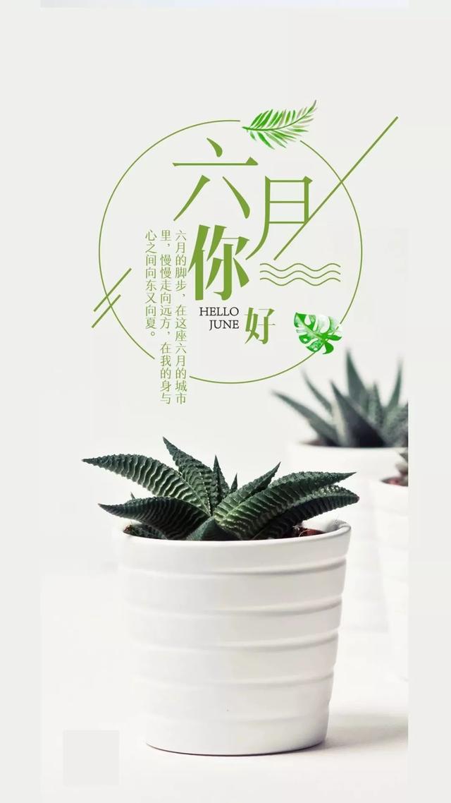 6月的午安心语：别嫌弃我幼稚，我对不熟的人才会用脑子