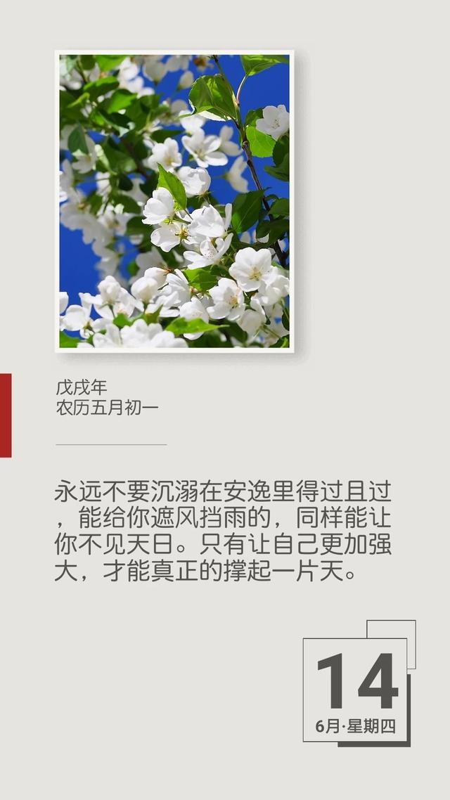 早安励志日签180614：努力就是旺季，不努力就是淡季