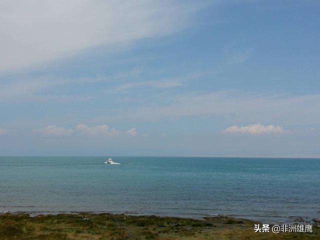 狗狗听的音乐:刚出生的小孩适合听什么样的音乐？ 狗狗音乐歌曲大全
