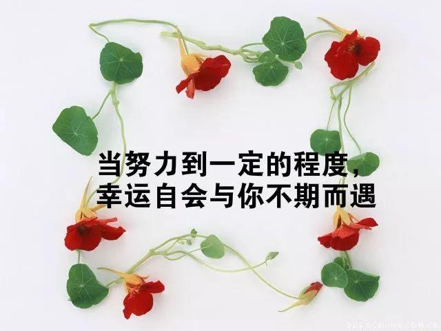 周一早安心语正能量180716：愿你有前进一寸的勇气，亦有后退一尺的从容