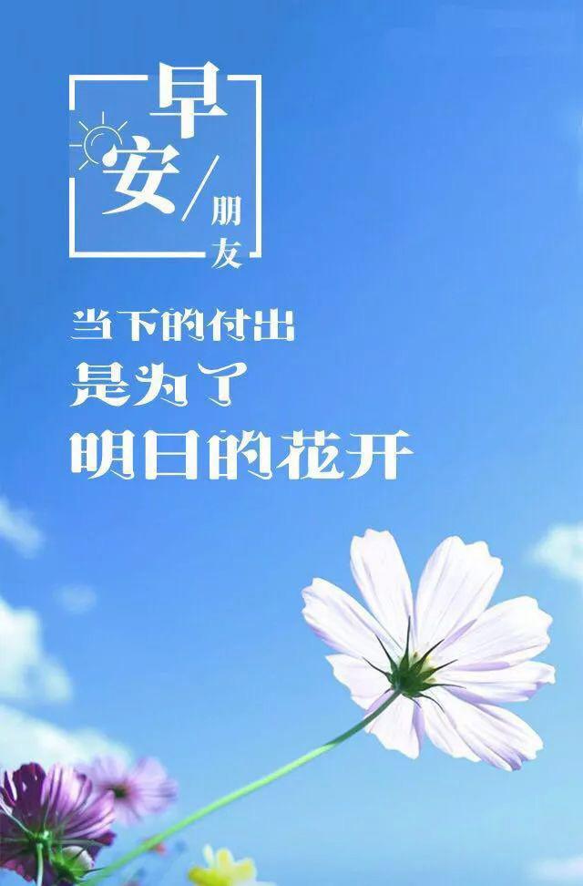 早安正能量心语180816：想要什么生活自己奋斗，要想得到先付出