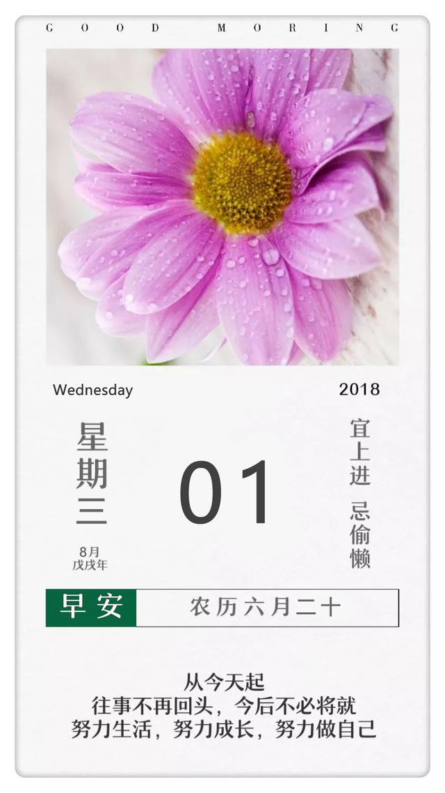 8月早安日签励志：努力奔跑迎接属于自己的辉煌