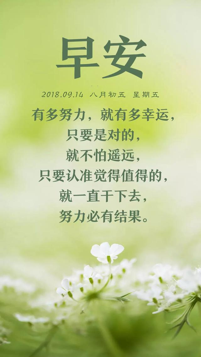 早安日签励志180915：学会驾驭自己的生活，即使困难重重