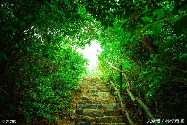 尧山福泉灵异事件:怎么看河北易县奶奶庙的“造神”行为？