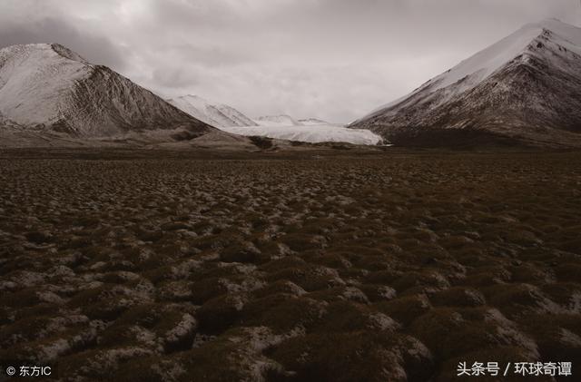 尧山福泉灵异事件:怎么看河北易县奶奶庙的“造神”行为？