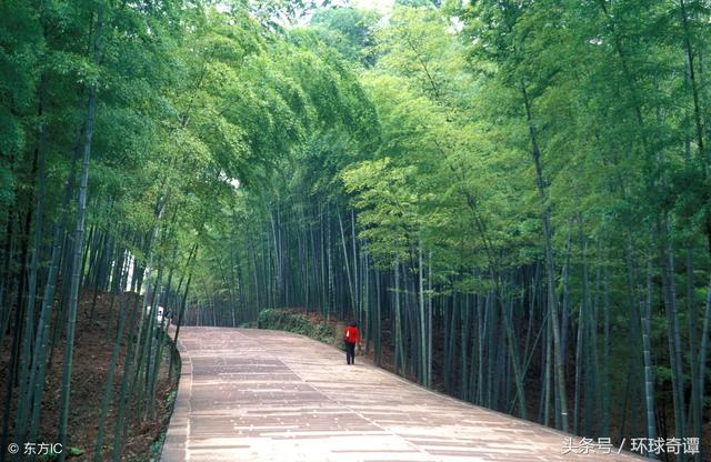 尧山福泉灵异事件:怎么看河北易县奶奶庙的“造神”行为？