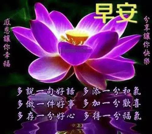 早上好带鲜花的表情动图，早上好的祝福信息