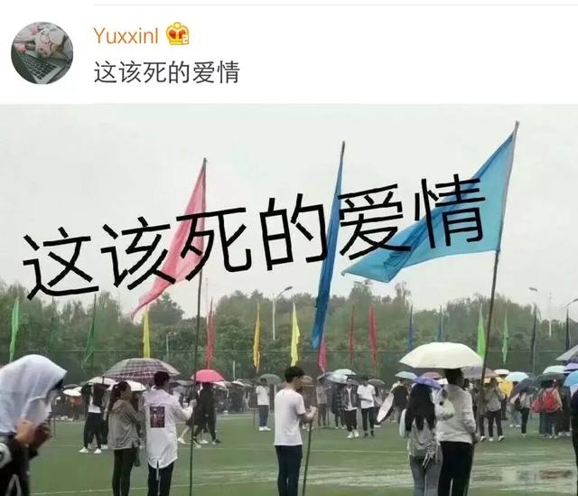 林依轮“省省课堂”的美食背后，原来有这么多故事，杜月笙和林桂生非亲非故，一再得到她的帮助，两人究竟什么关系