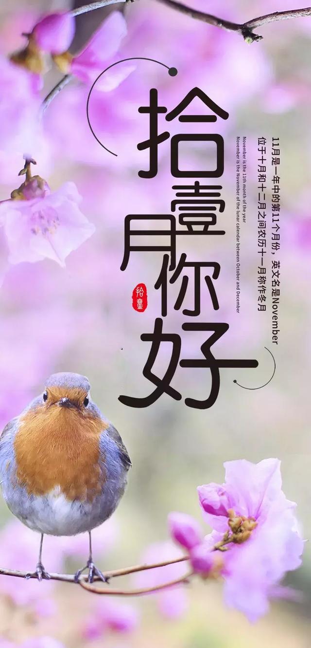 十一月你好简短说说语录励志正能量 十一月你好海报配图卡通图片大全