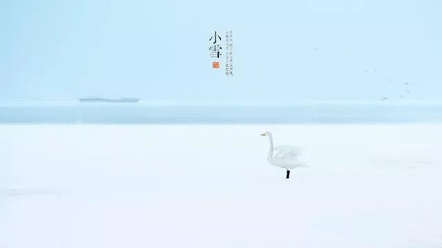关于24节小雪节气的手抄报大全