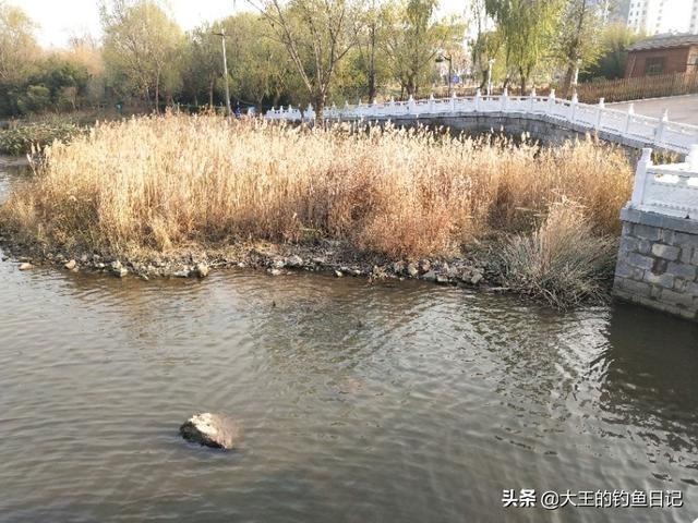 头条问答 整条河没有水深的地方应该怎么钩鱼 18个回答