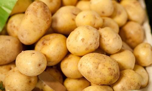 市面上的土豆越来越大，究竟和膨大剂有没有关系？你会吃吗？插图