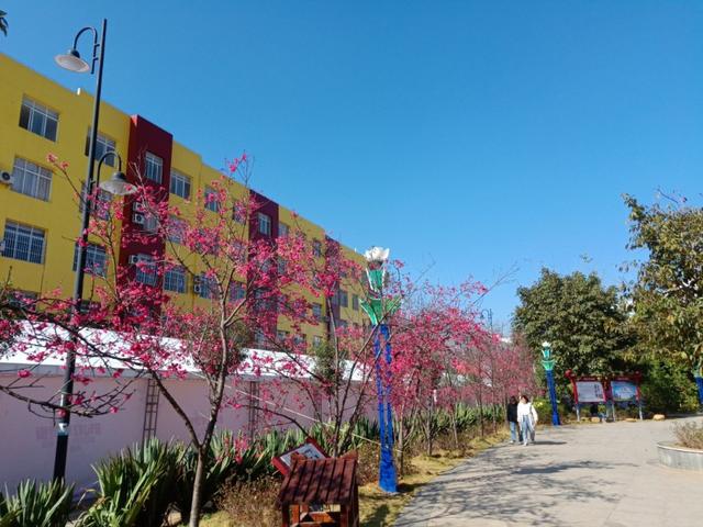 杨可凡:“婚姻中，别试图征服对方，好的夫妻，一辈子都互相迁就”怎么看