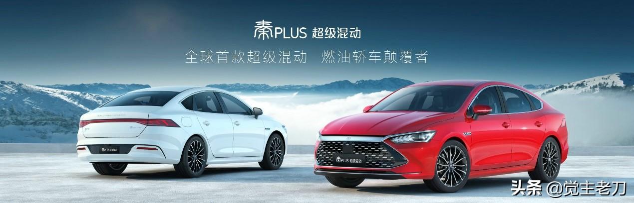 秦新能源汽车，比亚迪秦plus dmi会不会成为中国乘用车月销量冠军？