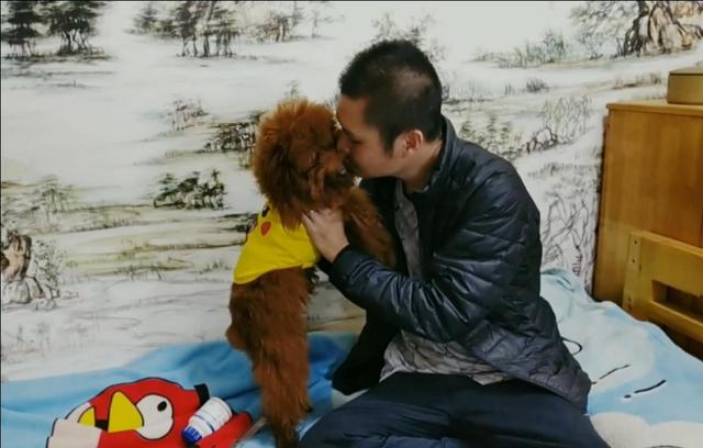 宠物生病:狗狗生病的时候主要会表现出哪几种反常？
