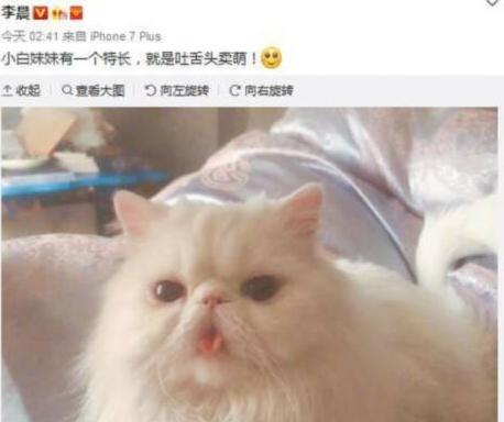 萌猫红小胖万多福开心果幕后花絮:假如《长津湖》的男主角不是吴京，你认为它能这么火不？