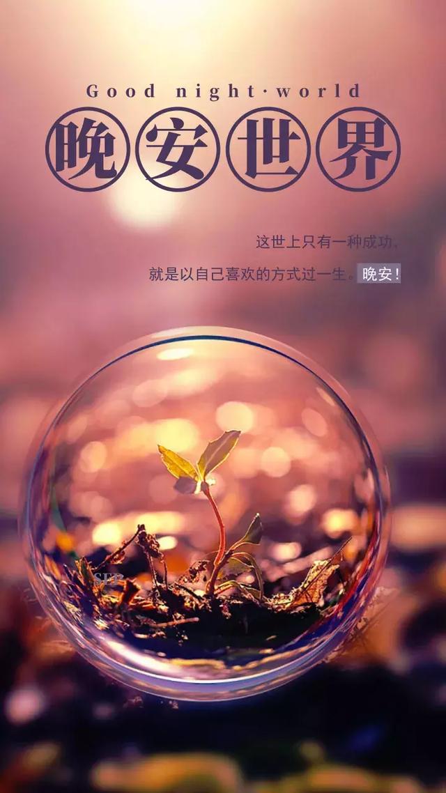 治愈系抖音微信文案语录，独特独到，吸睛吸心