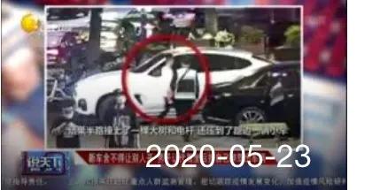 新西兰马耳他狗 百度百科:世界上什么狗会开车?背后有什么故事？