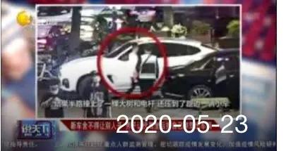 世界名狗图片大全:世界上什么狗会开车?背后有什么故事？