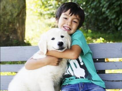 阿拉拜犬与卡斯罗犬打斗视频:卡斯罗犬打斗的视频 家里有小孩，最好别养哪类狗狗？
