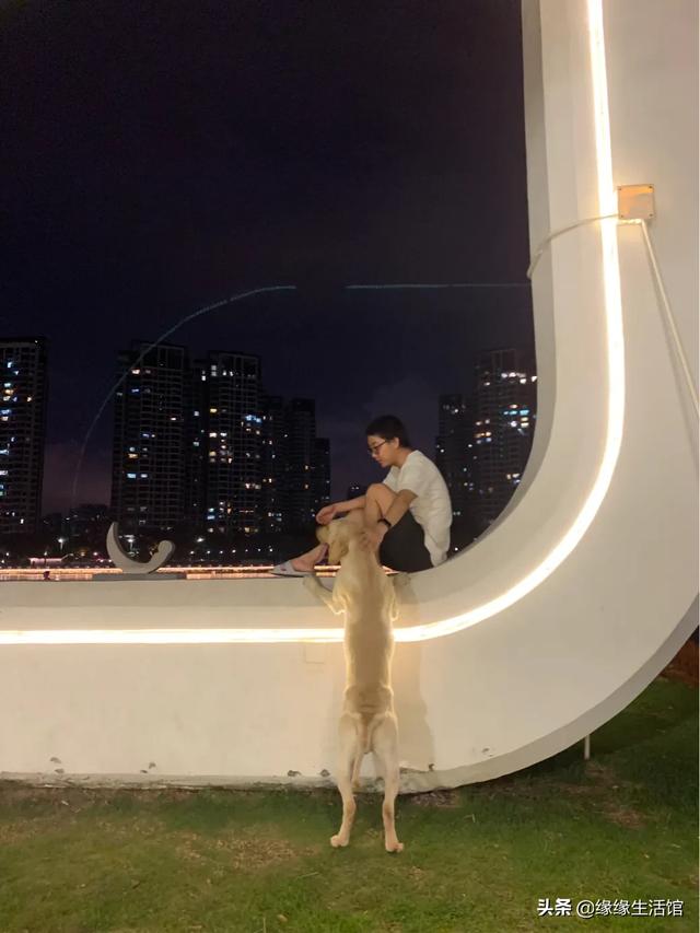 养条狗搞我:我养了一只狗会咬人，想把它送人，以后狗咬人我还有责任吗？