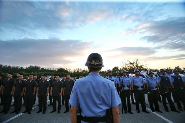 唐心怡执行什么任务:我是特种兵之利刃出鞘中，章鱼和唐心怡发生什么关系了吗？