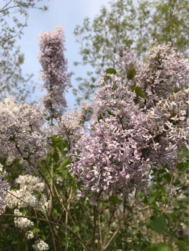 劲草娇花:家长教育孩子是培优还是补缺好