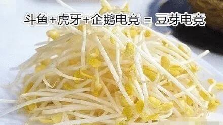 黄曼龙和斗鱼:这些曼龙鱼和斗鱼怎么样？