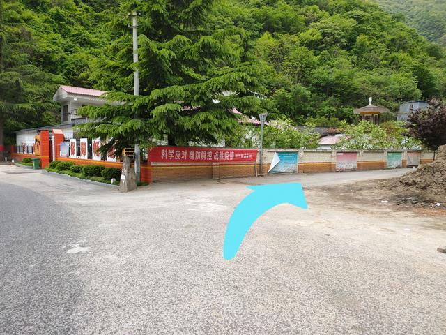 新藤惠美:地里长了许多葛根藤，怎么清除？