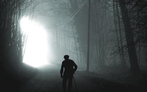 “卧榻如睡惊,夜游湿衣襟。扶首顶白额,半梦醉人间”什么意思？