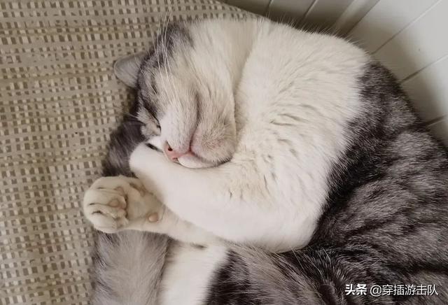 pua交流群截图:大家有没有被珍爱网坑过？