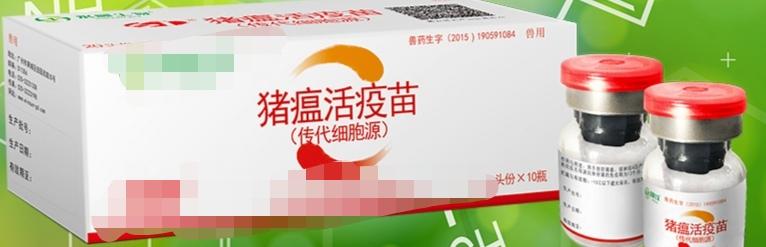 刘洋个人资料:二十头母猪生产出售仔猪算什么规模