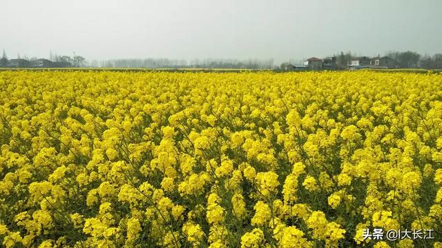 农业高质量发展主要指什么？