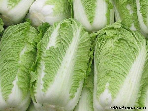下雪天,农村常吃的农家菜都有哪些？