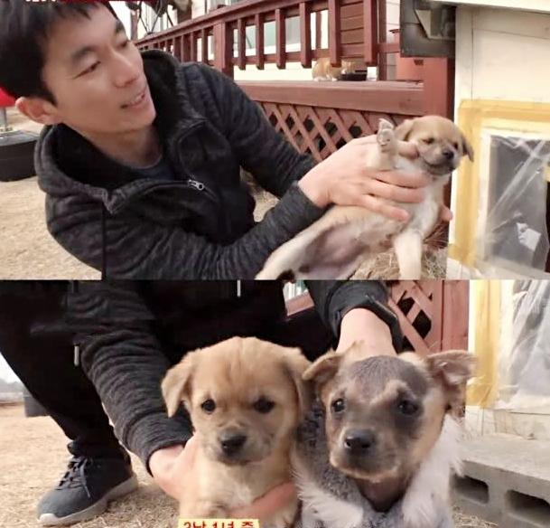 最丑的狗有哪些:你看到过的最奇怪的狗狗长什么样？