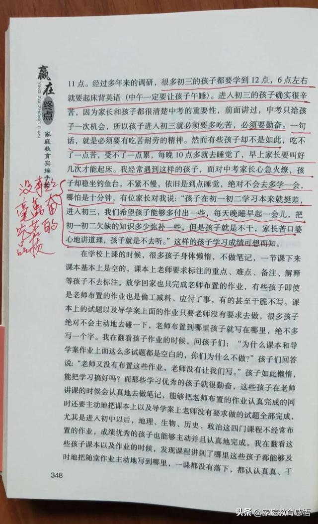 宠物志愿百度网盘:今年可能会有一半初中生进不了高中，他们该怎么办？