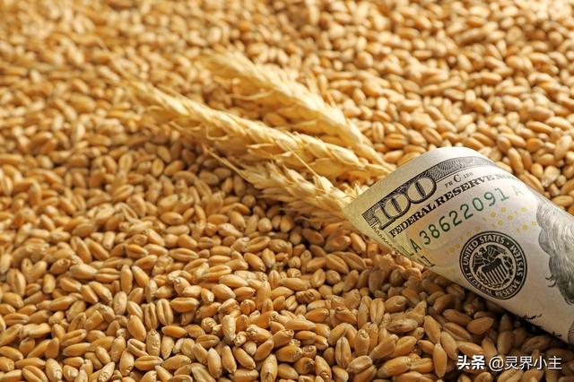 2021秋粮价格是否会上涨，2021年4月水稻价格走势分析，今年水稻价格会不会涨