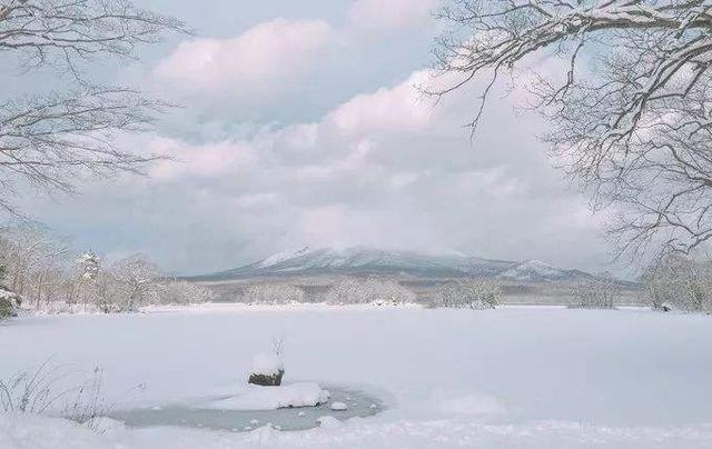 柳宗元的作品:柳宗元的《江雪》和白居易的《夜雪》都是写什么？如何评价？