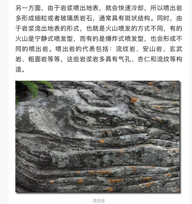 真有人见过尼斯湖水怪吗，有人说庞贝古城是伪造的，是真的吗