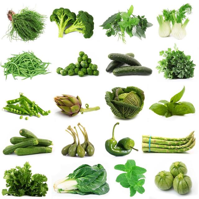 绿色菜品种大全图图片